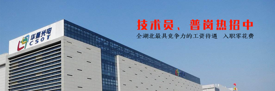 武汉华星光电技术有限公司