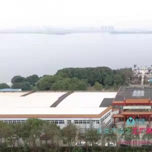 武汉国灸科技开发有限公司厂区照片