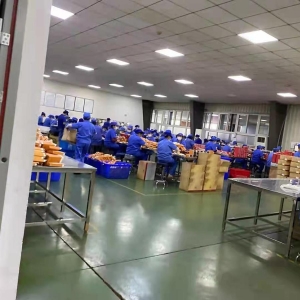 武汉国灸科技开发有限公司厂区照片