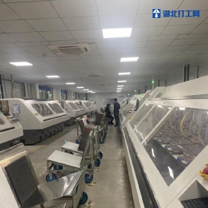 湖北楚泰鑫电子科技有限公司厂区照片
