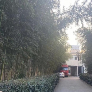 湖北楚泰鑫电子科技有限公司厂区照片